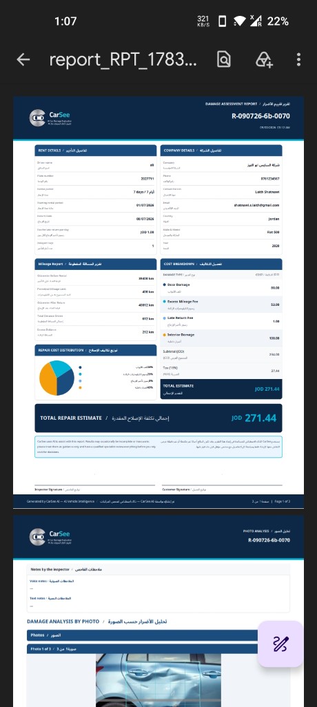 Full inspection report — bilingual damage assessment PDF